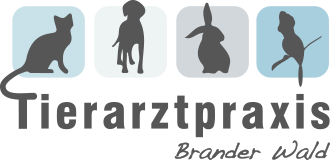 Logo von Tierarztpraxis Brander Wald
