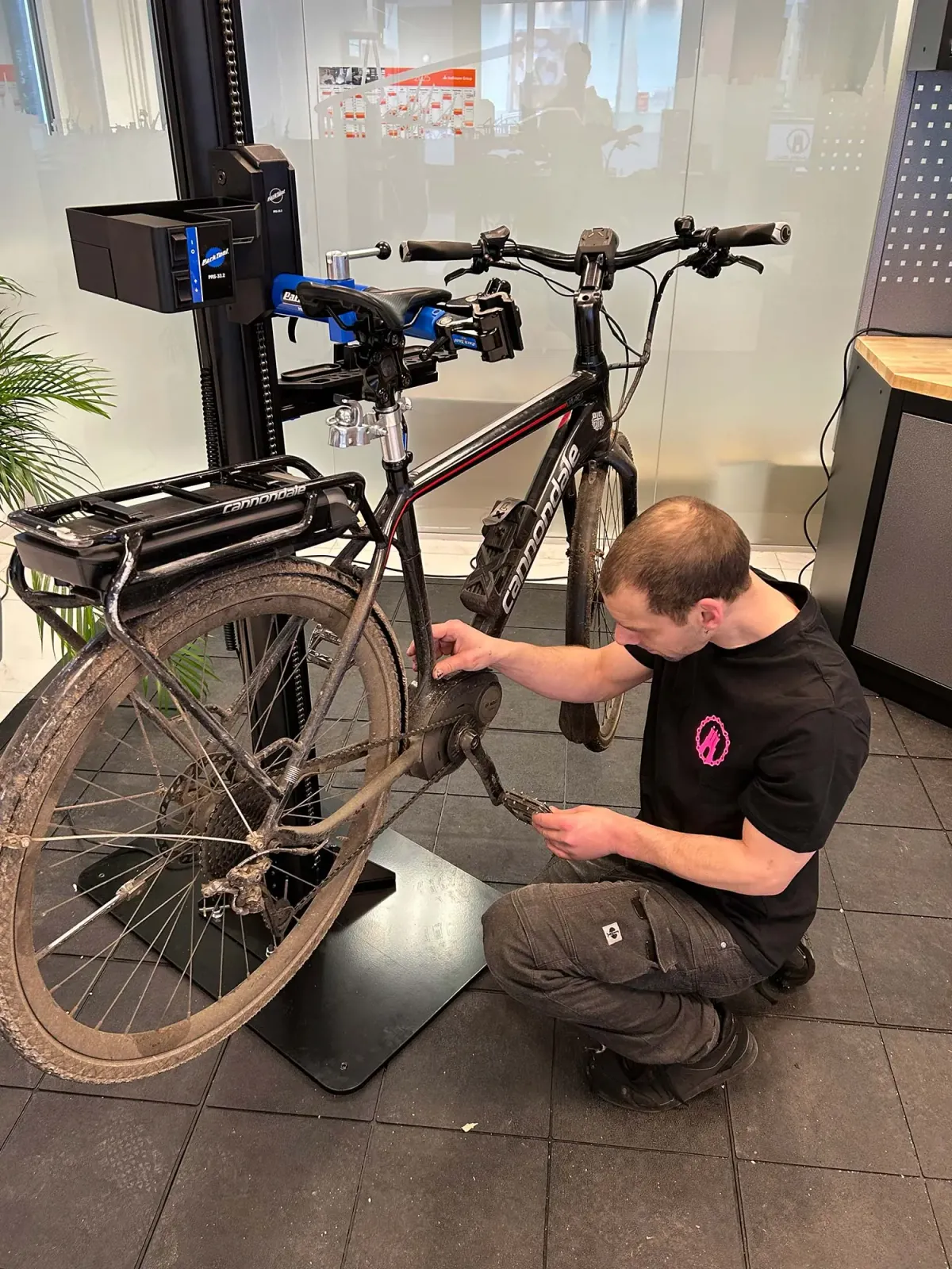 An employee kneels and works on a bicycle mounted on a repair stand.