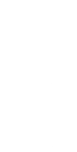 Logo von Haarstudio Sara
